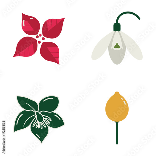 Seasonal botanic icons set, poinsettia petals, clover style leaf, white snowdrop bud, winter to spring transition, floral craft session