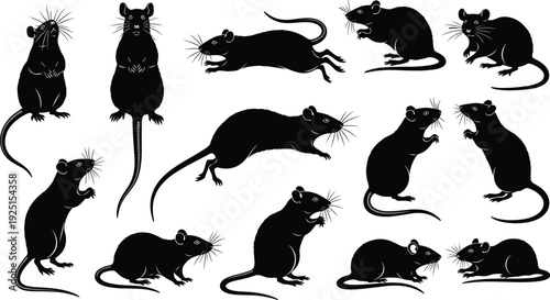 Stylized rat silhouettes vector illustration, multiple rodent designs symbolizing wildlife, biology, animal behavior, pest control, nature branding, and educational art