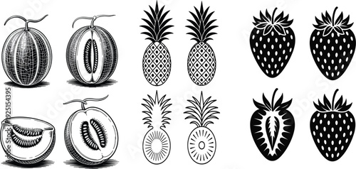 Hand drawn fruit vector icons set with detailed melon pineapple and strawberry illustrations for food design