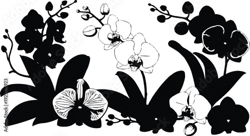 described features a black and white illustration that highlights orchid flowers as the main subject. The orchids are intricately detailed, showcasing their unique shapes and textures, which draw the 