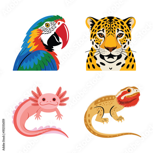 Exotic jungle animal character icons with parrot head, spotted jaguar, axolotl salamander and bearded dragon, zoo education design illustration