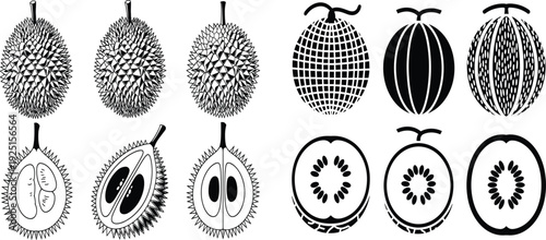 Hand drawn fruit vector icons set with detailed durian and melon illustrations for food design