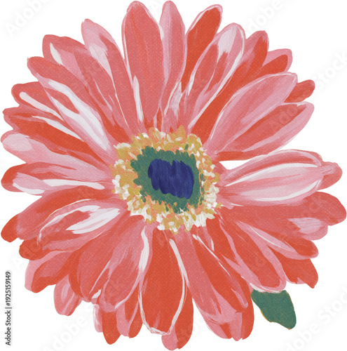 Pink Soft Watercolor Flower Painting Elegant Illustration