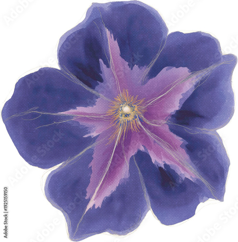 Purple Watercolor Flower Painting Elegant Illustration