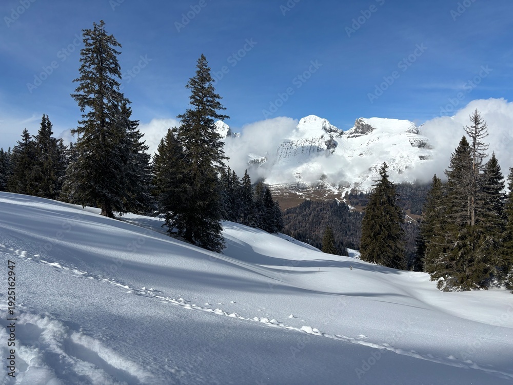 Fototapeta premium Alpine Panorama with Snowy Slopes and Distant Peaks