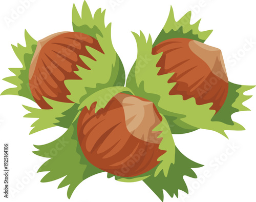 Vector illustration of fresh hazelnuts with green leaves for organic food and nature-themed designs.