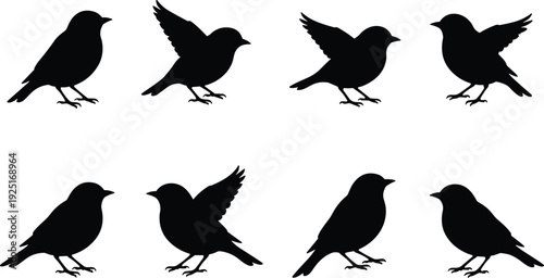 Black vector silhouette set of eight small songbirds in various perched and flying poses for nature wildlife garden and spring season design concepts