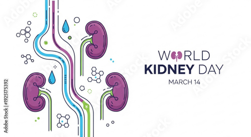 World kidney day illustration with purple kidneys colorful tubes and water droplets on white background