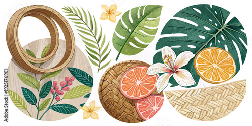 A vibrant illustration of tropical leaves and fruits in a circular design