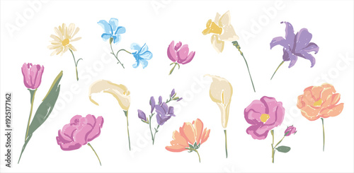 Set of hand drawn spring flowers in pastel colors isolated on white background