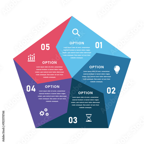 Pentagon Shaped Five Option Business Infographic with Numbered Sections, Icons, and Color Blocks for Workflow, Strategy, and Presentation Design