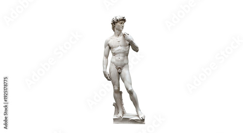 Michelangelo's David Statue