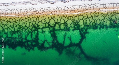 Cracked Earth Meets Emerald Sea Aerial View of Coastal Contrast.