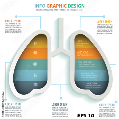 Human Lungs Anatomy Infographic Template. Vector Illustration of a Respiratory System Diagram with 5 Layered Data Sections and Medical Icons