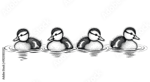 Four adorable ducklings swimming in a line, rendered in a charming stippling art style