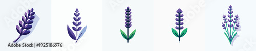 vector of lavender
