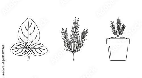 Black and White Plant Illustrations in Pots.
