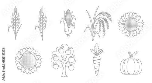 Collection of Hand Drawn Vegetation Illustrations.