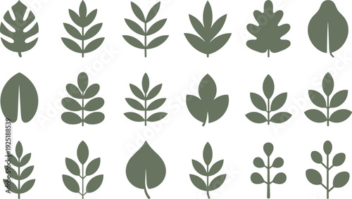 Stylized green leaf icons displaying botanical diversity and organic forms, arranged on white background with even light, evoking natural calm.