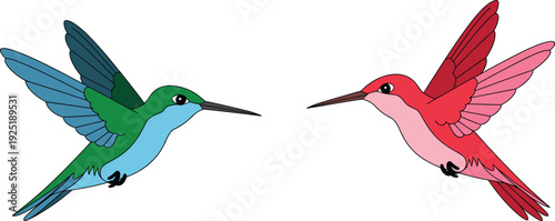 Colorful hummingbird illustration set, flying tropical colibri birds isolated vector art for nature design and decorative logo