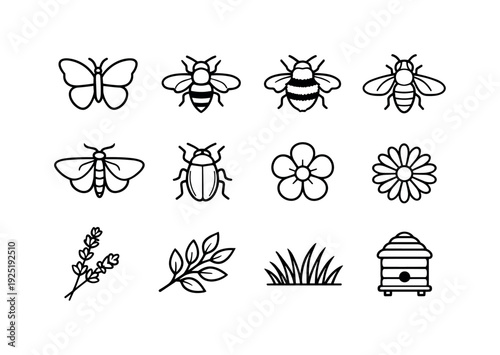 garden pollinators outline set. Line outline icon set of garden pollinators outline set: butterfly, bee,