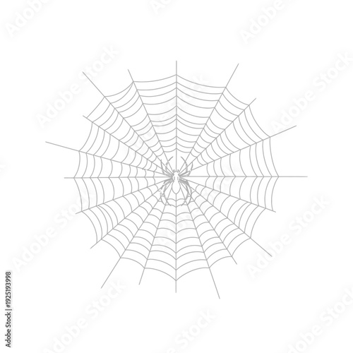 Spider web illustration on white background for Halloween designs.