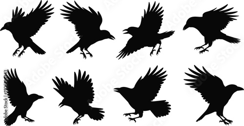 Raven silhouette collection, flying black crow with spread wings isolated vector set for wildlife logo design and tattoo artwork