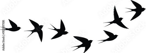 Swallow bird silhouette flying set, black swift isolated vector collection for wildlife logo design and decorative nature illustration
