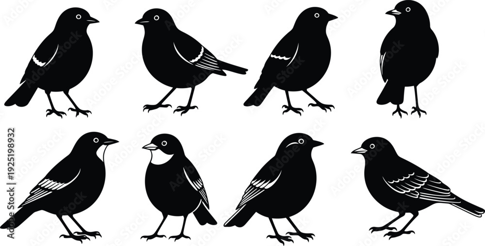 Fototapeta premium Black and white silhouettes of eight small songbirds in various poses and profiles Vector, illustration
