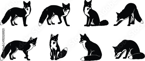 Collection of black and white fox silhouettes in various poses and positions Vector, illustration