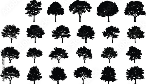 Collection of twenty-four black and grey tree silhouettes on a plain white background Vector, illustration