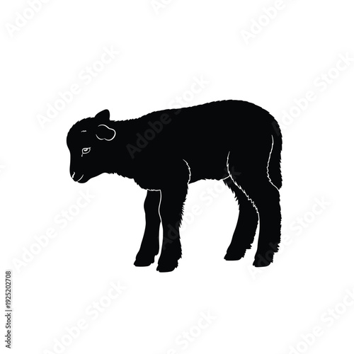 Black silhouette of a young lamb standing on a white background, looking down