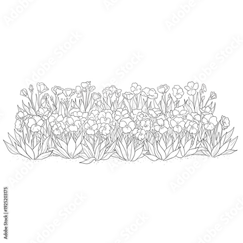 Delicate line art illustration of a vibrant flowerbed with various blooming plants and lush foliage