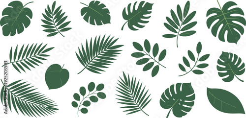 Collection of Various Tropical Green Leaves Isolated on White