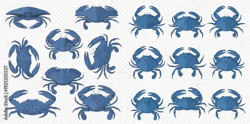 Collection of blue crab illustrations in various poses and styles, perfect for seafood and marine life designs.