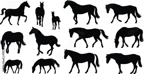 Collection of horse silhouettes in different poses, black equine shapes isolated on white background for design and illustration