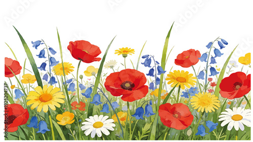 Colorful watercolor flower garden illustration featuring blooming poppies, daisies, and wild meadow blossoms in vibrant spring nature landscape art.