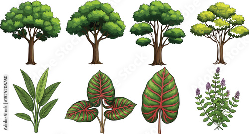 Set of green trees and tropical plants vector illustration with diverse leaf shapes and foliage textures isolated on white background for architectural site plan