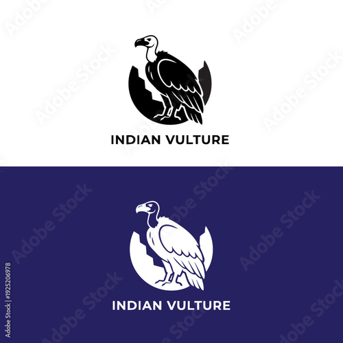 The Indian Vulture