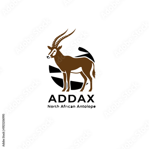 The Ghost of the Sahara and the World's Most Desert-Adapted Antelope