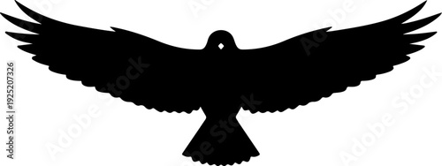 Silhouette of a majestic eagle soaring with outstretched wings against a plain background
