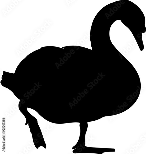 Silhouette of a goose walking with one leg raised, isolated on white background