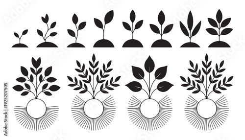 Plant growth sequence vector illustration featuring seedling development from ground in black silhouette
