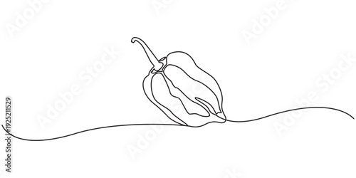 Continuous one line drawing of hot red chili pepper  Habanero pepper. Single line art illustration of spicy chili pepper, Red chili pepper design in continuous line art drawing