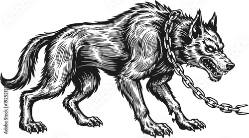 Angry chained wolf snarling and growling, wild aggressive animal in black and white line art