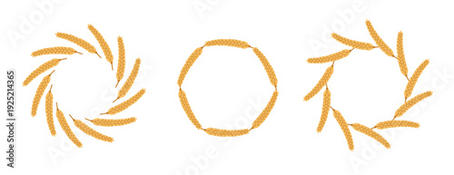 Flat vector set with round frames of wheat grains. Rye or barley ears in the shape of a circle or wreath. Agricultural organic spikelets for ornament design and textures
