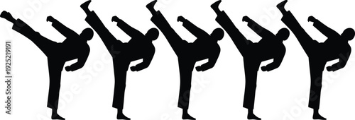 Martial Arts High Kick Silhouettes Collection, Karate Fighter Performing Powerful Kick Pose for Combat Sport Design Isolated on White Background