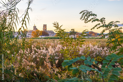 La commune de Pont-Saint-Esprit, vue depuis la campagne environnante en automne, entre le Rhône et l'Ardèche, en Occitanie, France.
