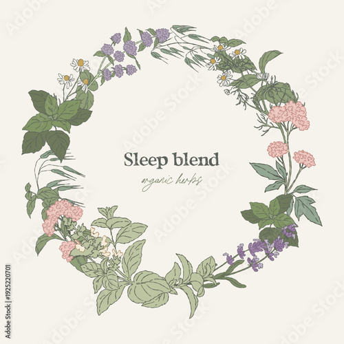 Hand drawn circular wreath, sleep tea herbs