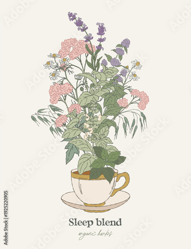 Digestive Herbal Blend Tea Cup Illustration